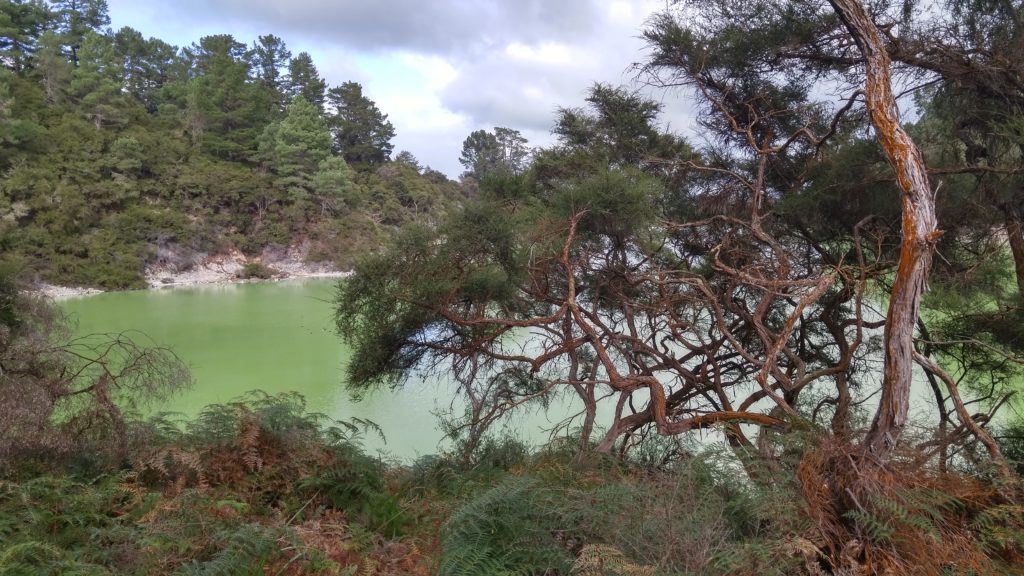 Wai O Tapu 3