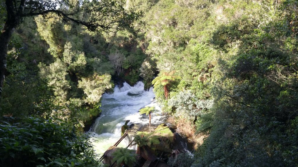 Okere Falls Track 1