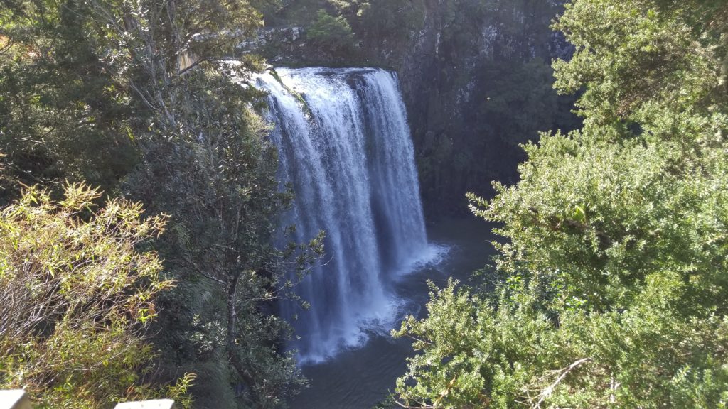 Whangarei Falls