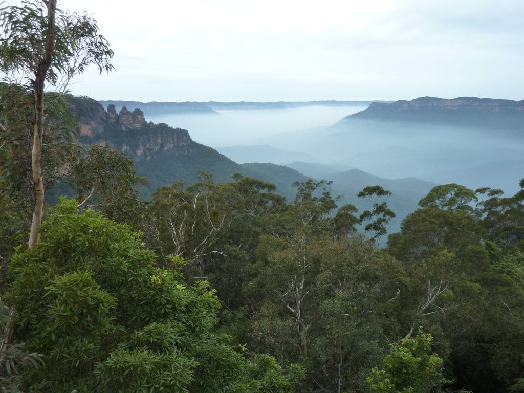 Blue Mountains 1