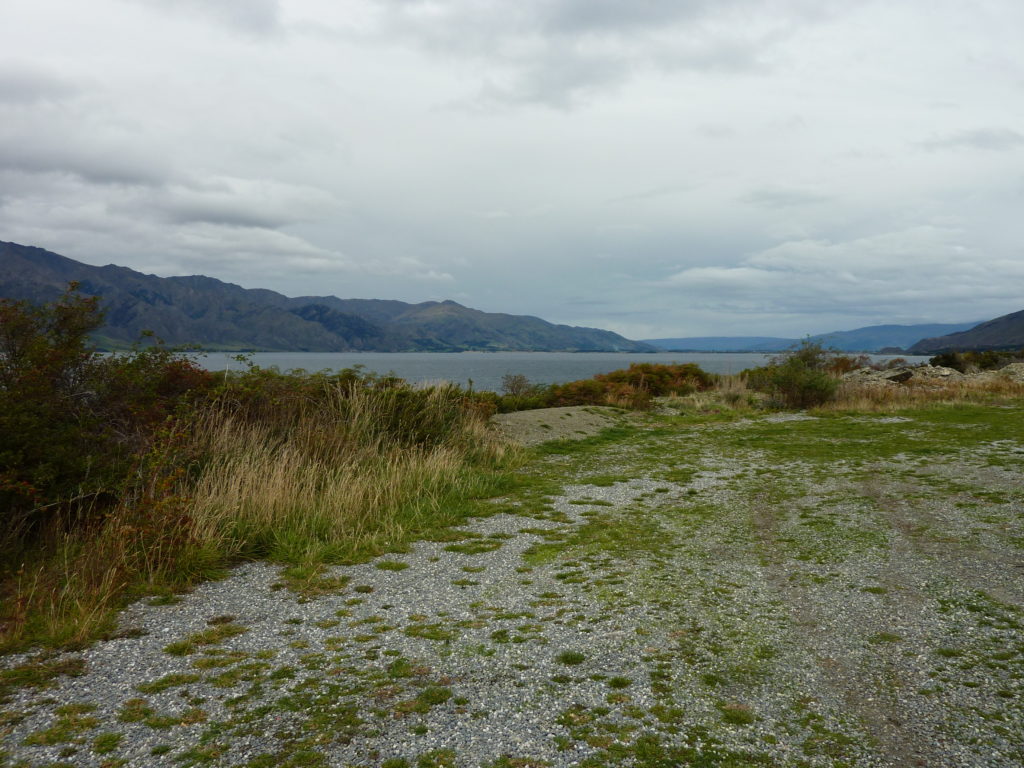 Drive Fox Glacier 2