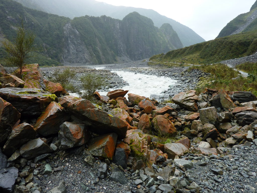 Fox Glacier Trail 3