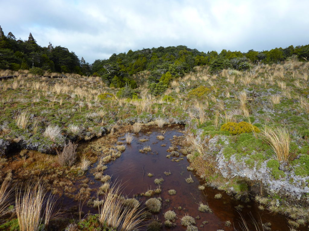 Waitong Falls 4