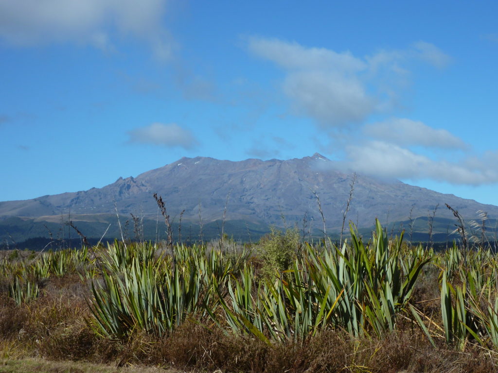 Drive Rotorua 2