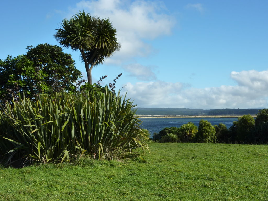 Drive Rotorua 3