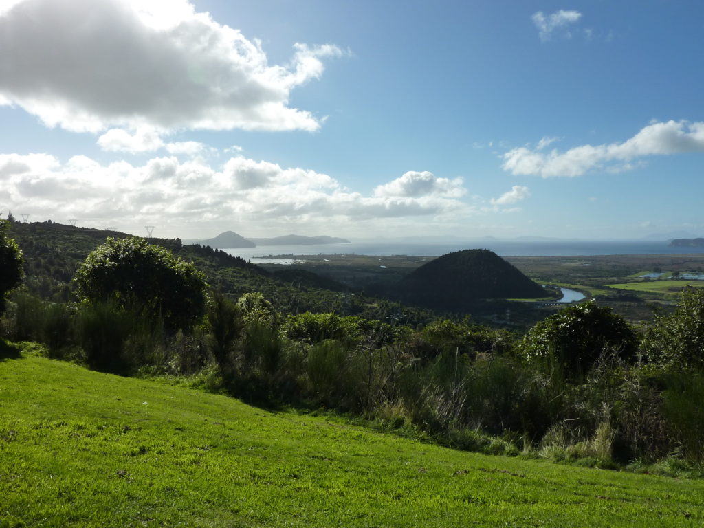 Drive Rotorua 5