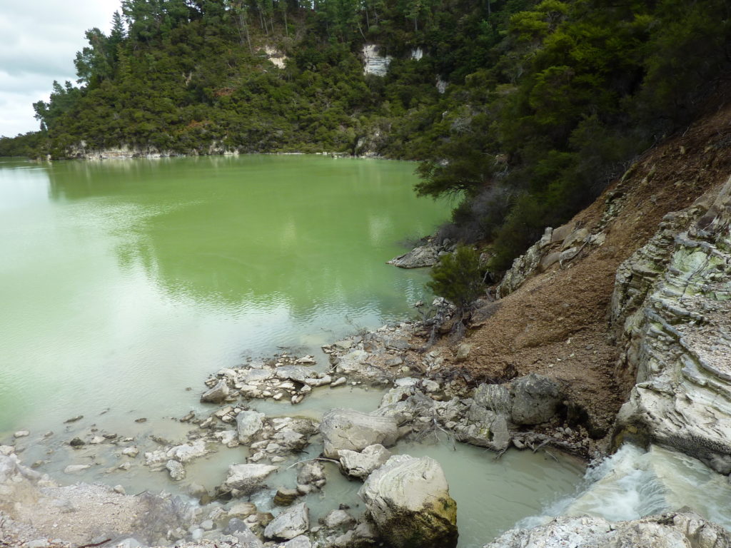 Wai O Tapu 5