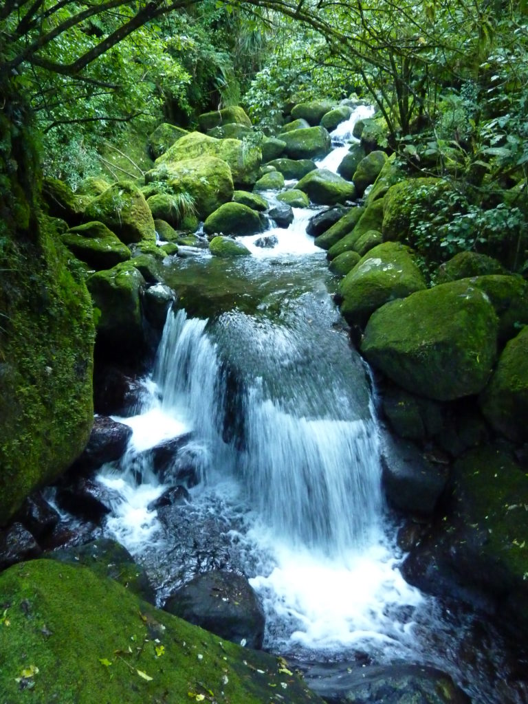 Wairere Falls 2