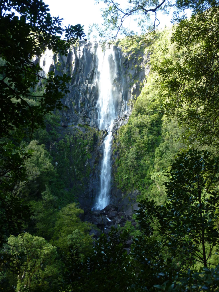 Wairere Falls 3