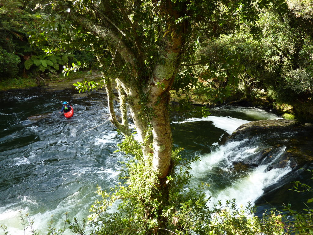 Okere Falls Track 2