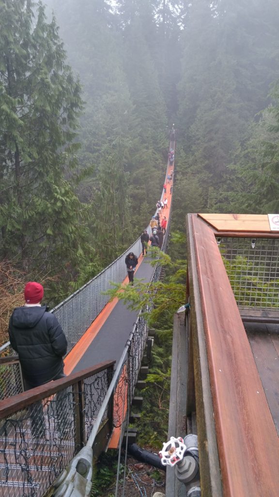 Capilano 1