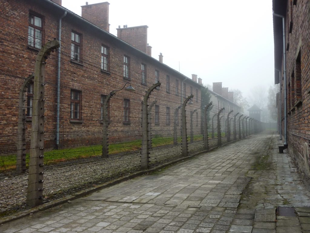 Auschwitz 5