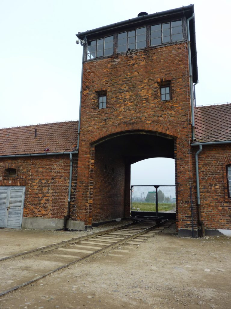 Auschwitz 8