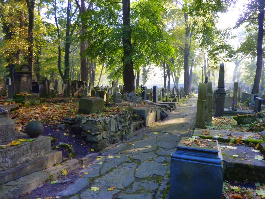 Jewish Cemetery 2