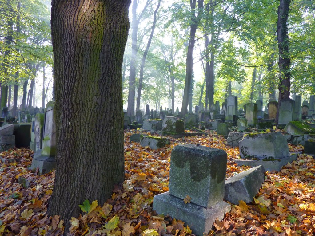 Jewish Cemetery 3