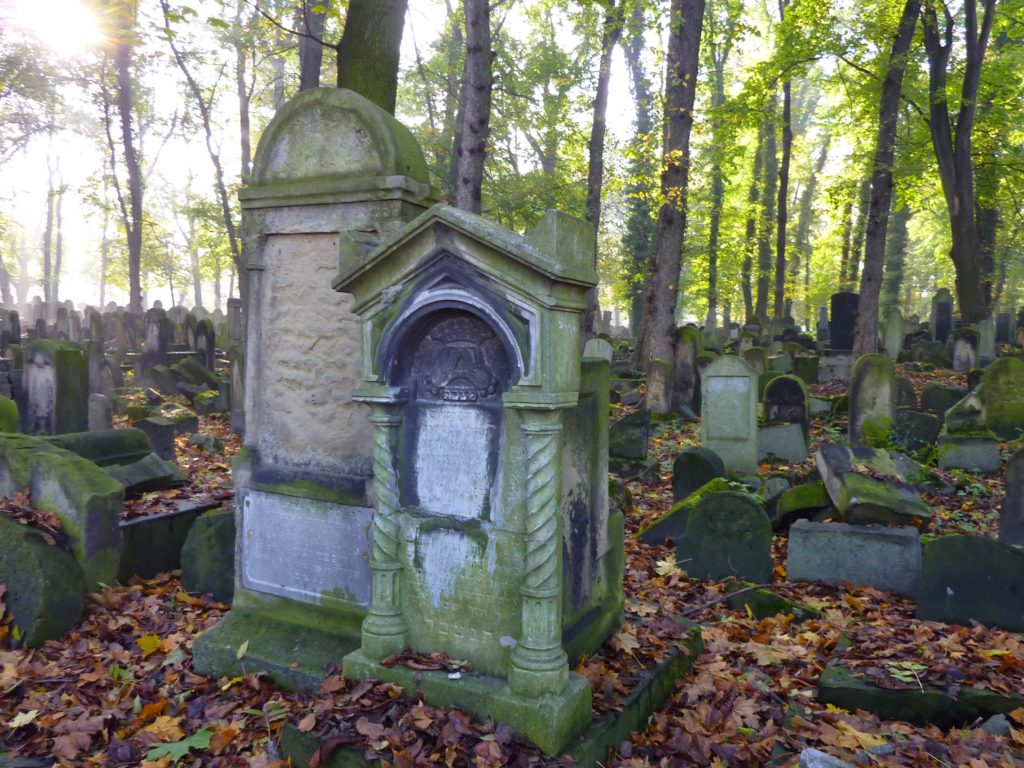 Jewish Cemetery 4