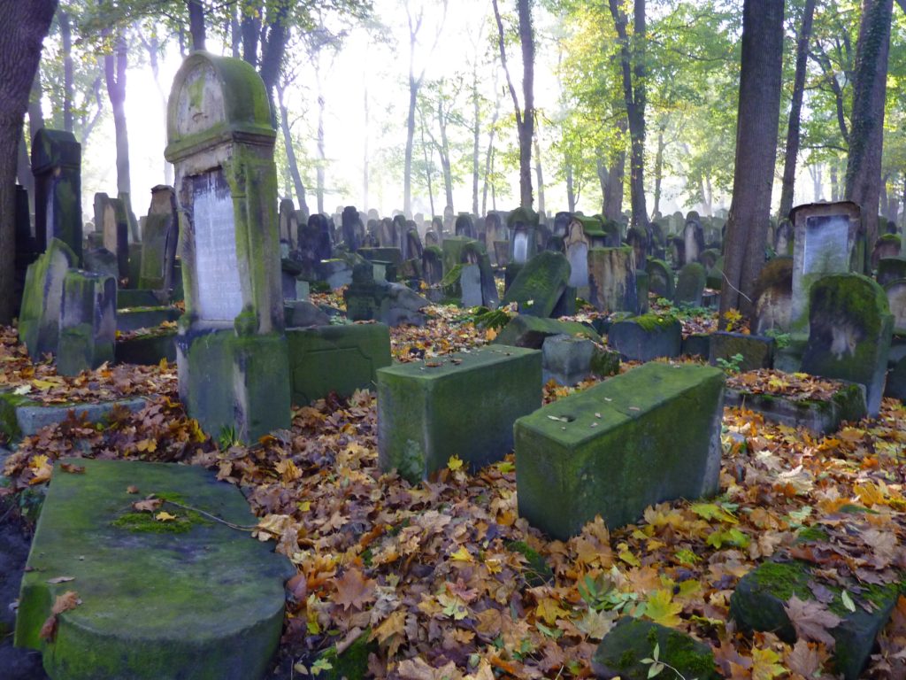 Jewish Cemetery 5