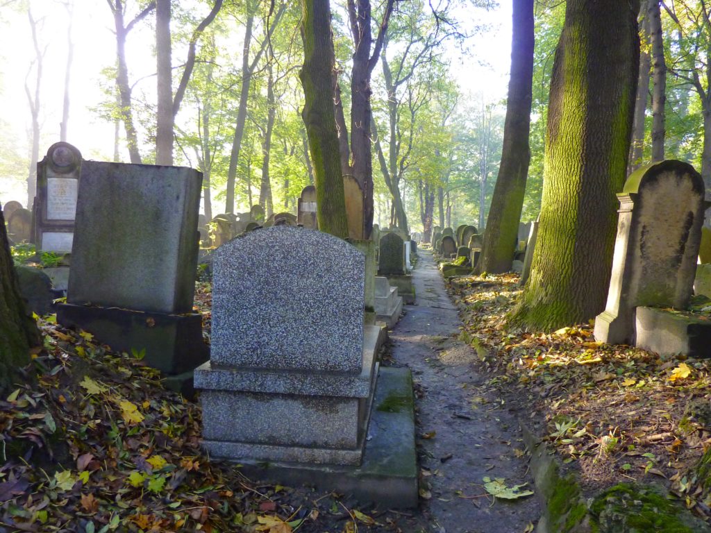 Jewish Cemetery 6