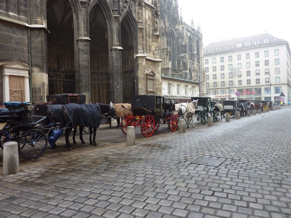 Stephansdom 4