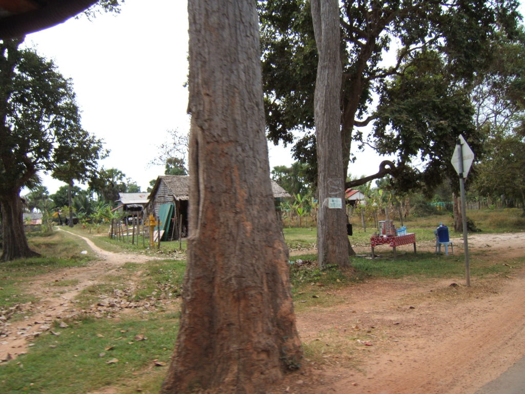 Way to Ta Prohm