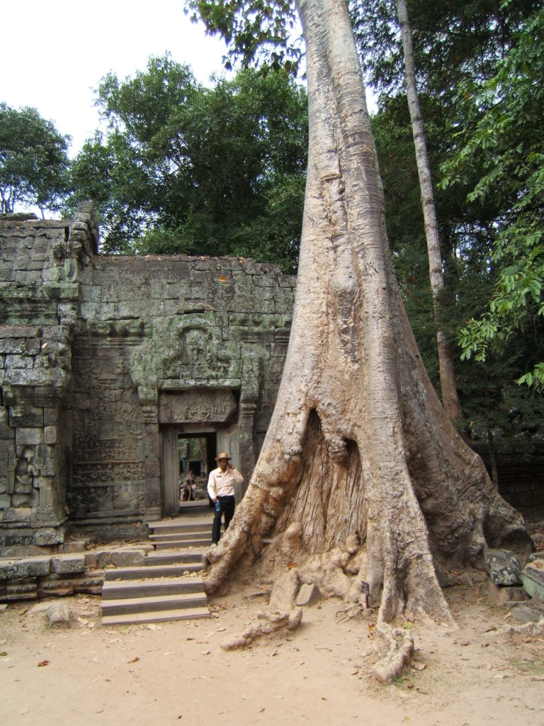 Ta Prohm 6