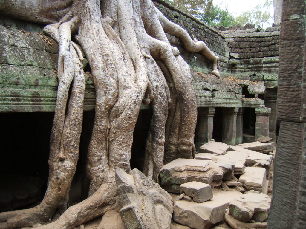 Ta Prohm 7