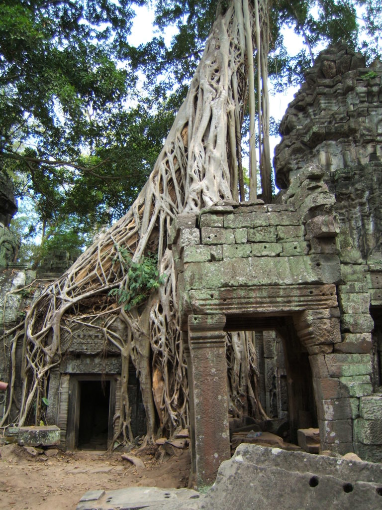 Ta Prohm 9