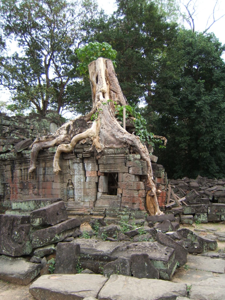 Preah Khan 6