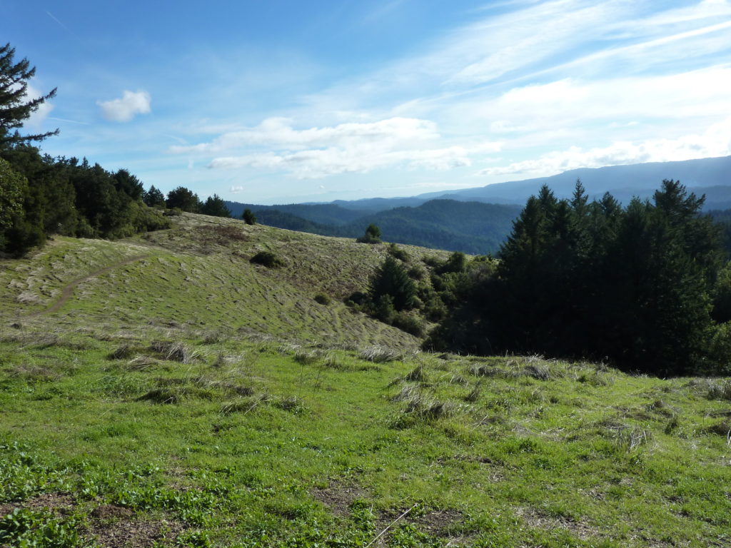 Drive to Big Basin Redwood Park 2