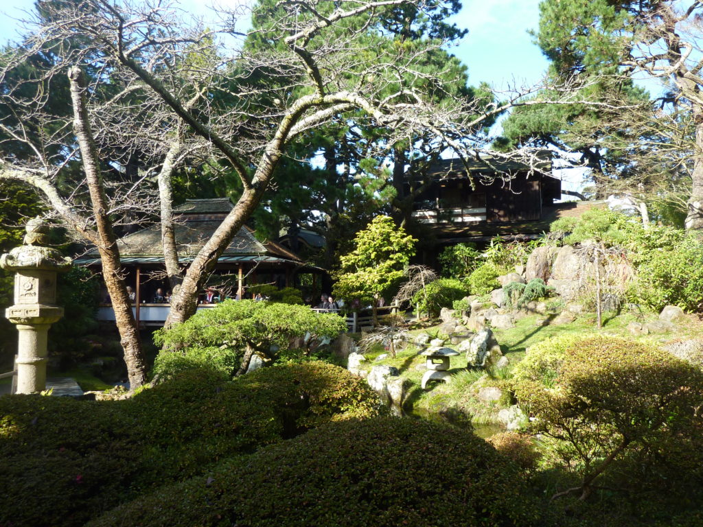 Japanese Tea Garden