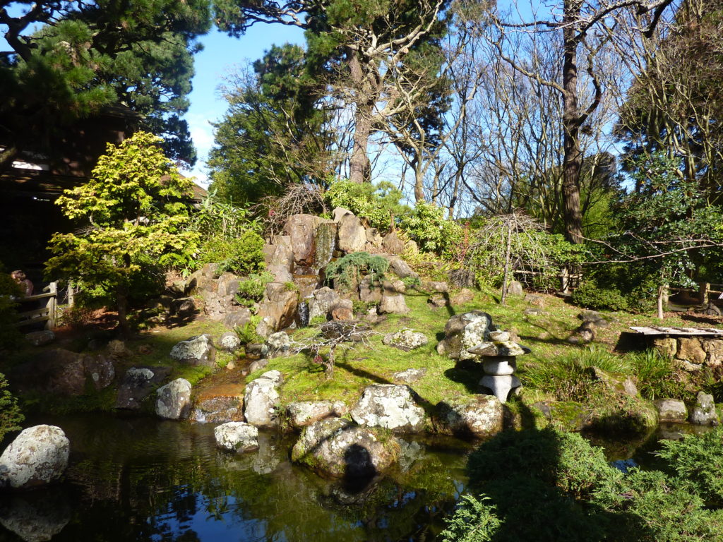 Japanese Tea Garden 2