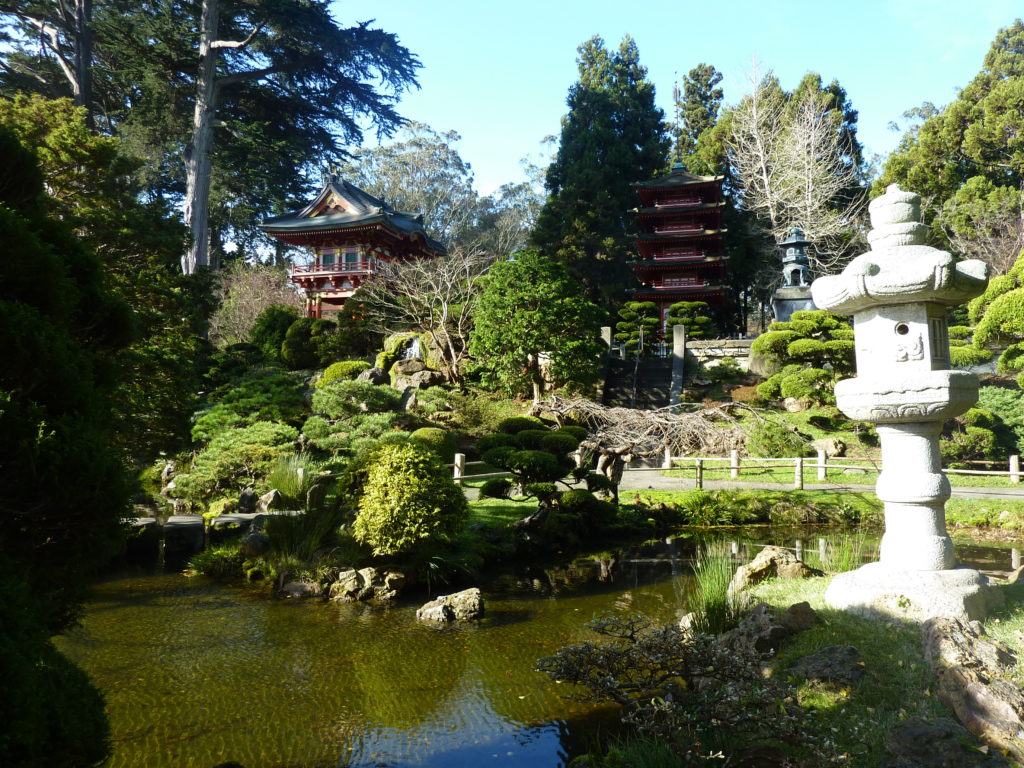 Japanese Tea Garden 4