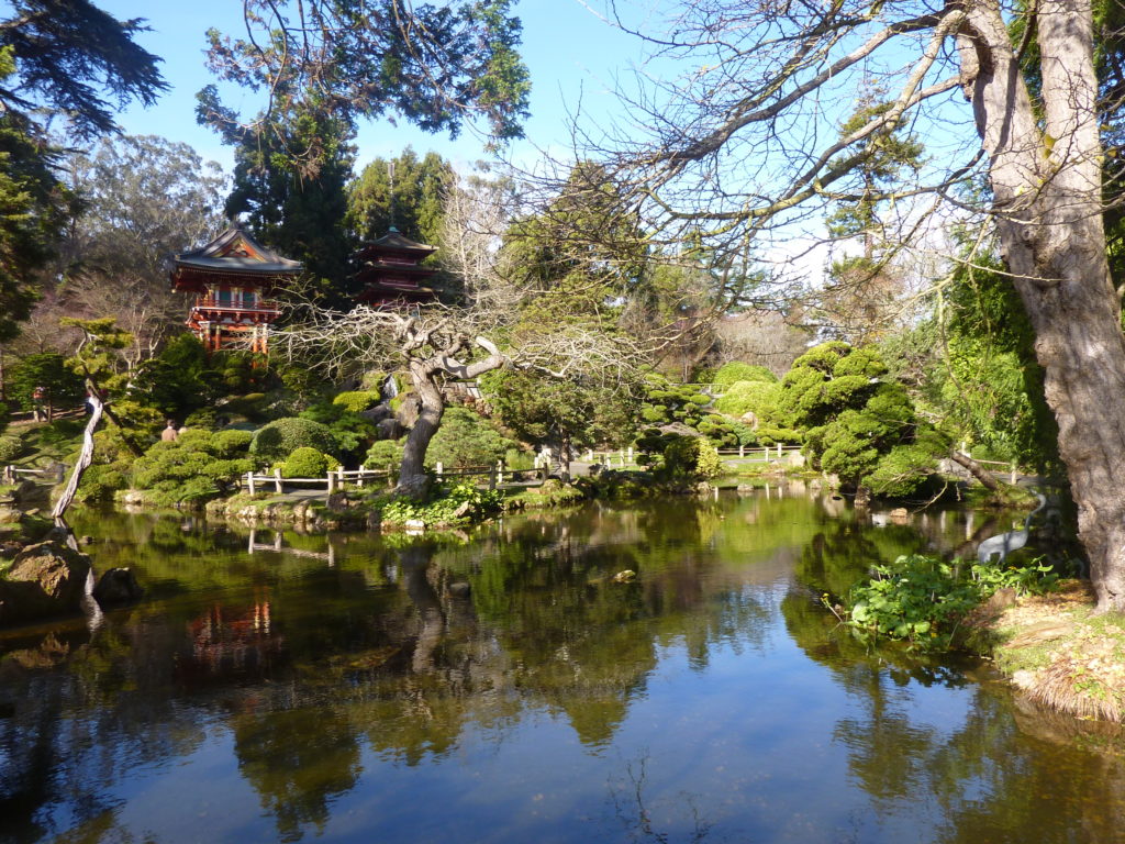 Japanese Tea Garden 5