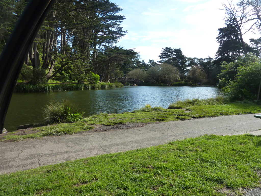 Golden Gate Park 3