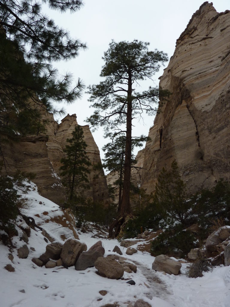 Kasha-Katuwe Tent Rocks 5