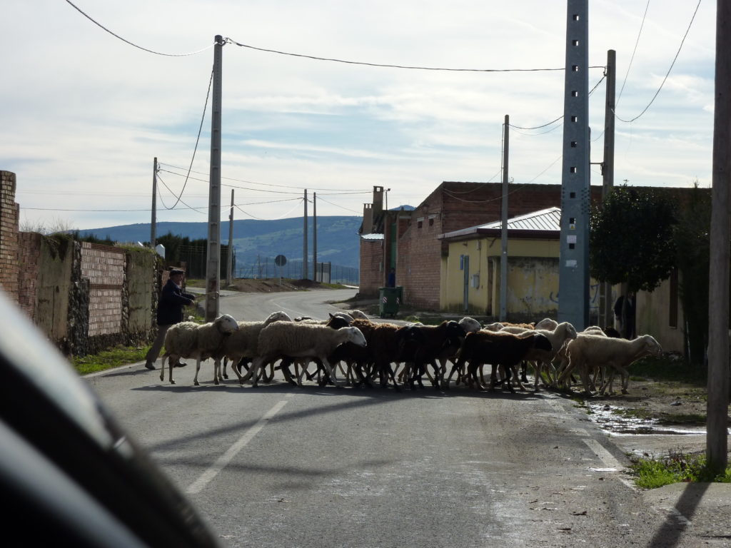 Drive - Madrid to Aldea del Rey, Spain 3