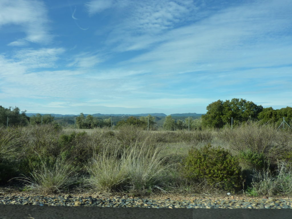 Drive - Aldea del Rey to Cordoba 3